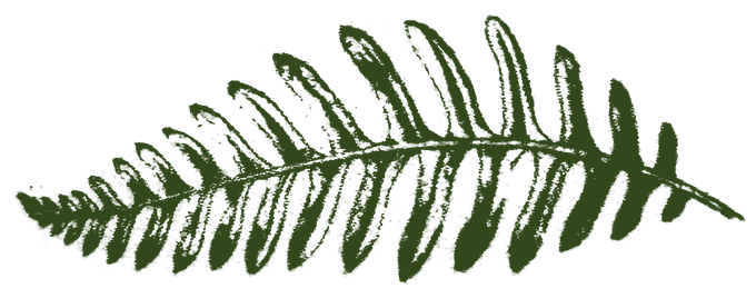Fern Capital